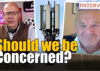 Are Electrical Magnetic Fields a  problem?