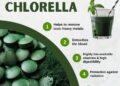 Chlorella is a hugely important superfood for the times! Start taking chlorella and help protect your body against heavy…