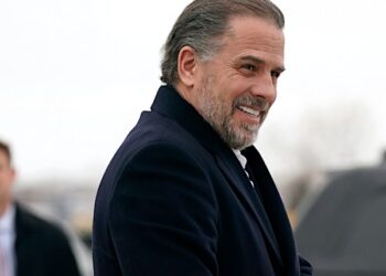 Dem Donor in Biden Post Bought Hunter Art