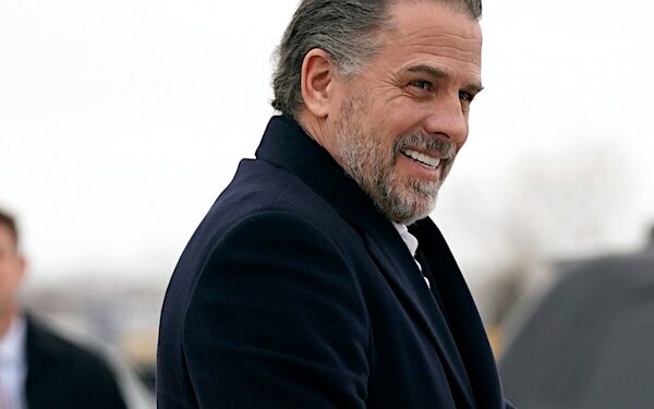 Dem Donor in Biden Post Bought Hunter Art