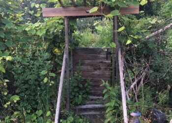 Entrance into my Garden