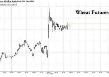 Europe Agrees To Remove Energy Support Stimmies To Cut Budget Deficits