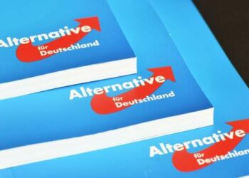 Germany’s AfD Party Rises In The West, Hits Record 19% In Baden-Württemberg