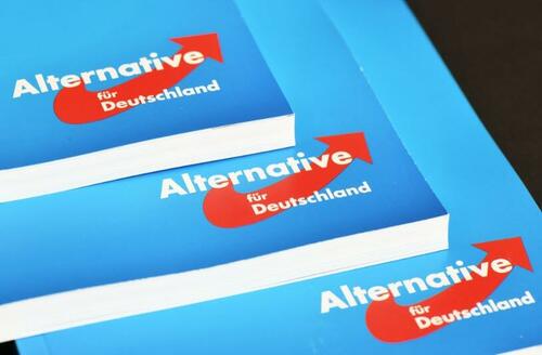 Germany’s AfD Party Rises In The West, Hits Record 19% In Baden-Württemberg