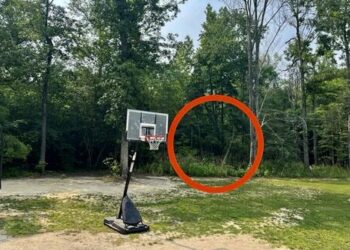 Government Agents Routinely Entering Private Land Without Warrants