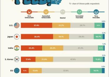 How Do Chinese Citizens Feel About Other Countries?