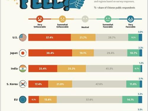 How Do Chinese Citizens Feel About Other Countries?