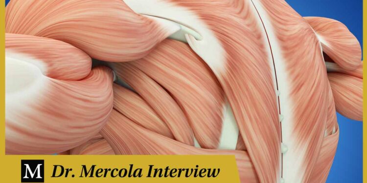 How to Optimize Muscular Health