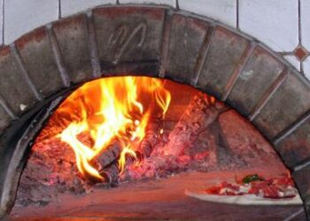 IEA’s Net Zero Dream Was Just Debunked As A Nightmare