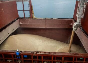 It Never Grains But It Pours