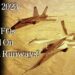 July 19 – Have UFOs Landed On Human Runways?