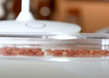 Lab-Grown Artificial ‘Meat’ May Actually Be Worse For The Environment