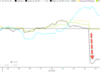 Largest US Retailer Of Pool Supplies Warns Of Sliding Demand