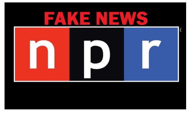 NPR Calls the Effort to Make People Eat Bugs a ‘Right Wing Conspiracy’ but Pushed the Idea Multiple Times | The Gateway Pundit