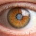 Natural Strategies to Prevent Cataracts