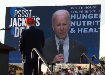 ORDINARY PEOPLE BY THE MILLIONS