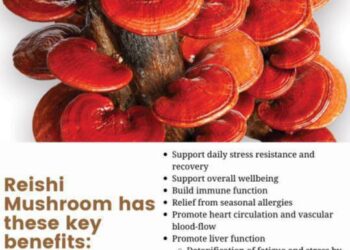 Reishi Mushroom TinctureWildcrafted North American Reishi TinctureDual ExtractionContains Wildcrafted North American Rei…