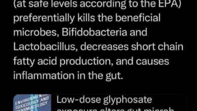 Stephanie Seneff is an MIT professor: https://www.sciencedirect.com/science/article/pii/S1382668923000911