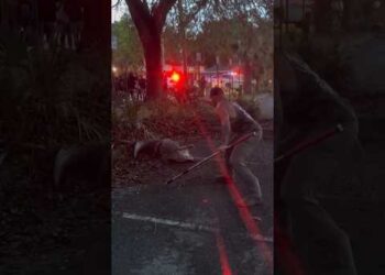 TYPICAL FLORIDA MAN BEHAVIOR. #SHORTS