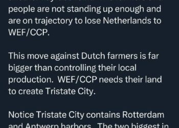 The Netherlands: Deep thoughts on the collapse of WEF-stooge and NWO puppet Mark Rutte and his government.