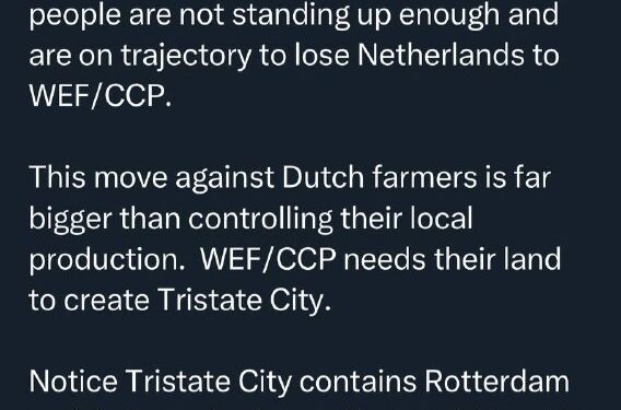 The Netherlands: Deep thoughts on the collapse of WEF-stooge and NWO puppet Mark Rutte and his government.