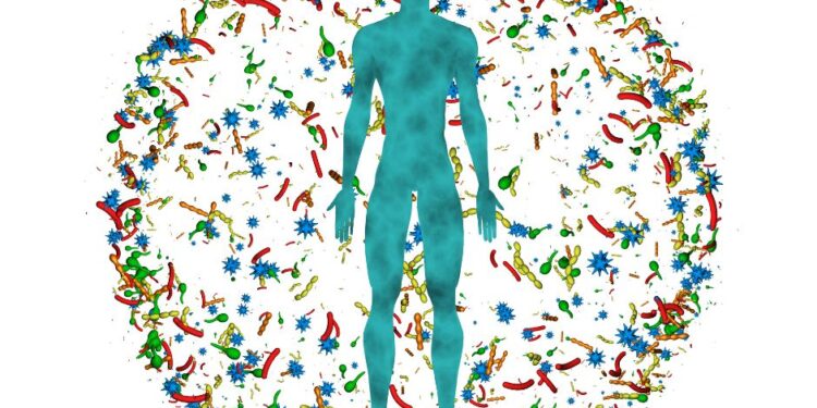 Trailblazing Gut Health & Microbiome Restoration