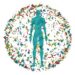 Trailblazing Gut Health & Microbiome Restoration