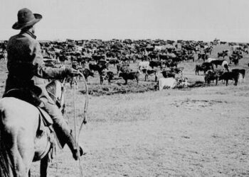 Why Are Republicans Greenhorns At Rounding Up Them Absentee Votes?