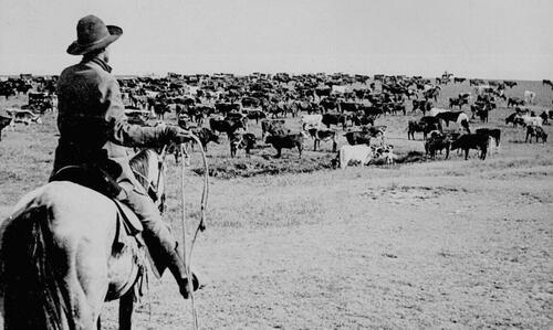 Why Are Republicans Greenhorns At Rounding Up Them Absentee Votes?