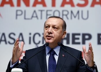 Zelenskyy Wins Erdogan’s Backing for Ukraine NATO Membership