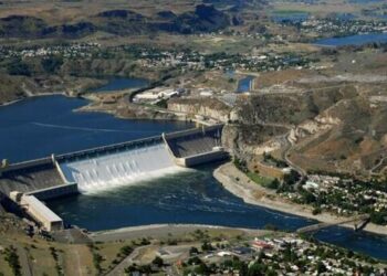 $9 Billion Spent On Salmon Recovery In Oregon Has Produced “Few Discernable Results”