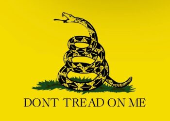 BTW…this is the Gadsden Flag