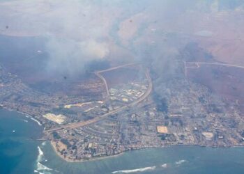 Bad Government, Not Climate To Blame For Maui Wildfire Disaster