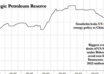 Biden Energy Secretary Secretly Consulted Top Chinese Energy Official Before SPR Release, Sales To Hunter Biden-Linked Chinese Energy Giant – Summit News