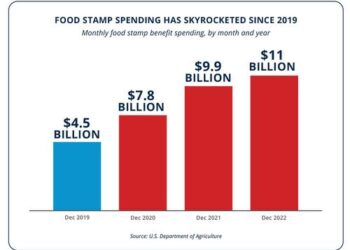 ‘Bidenomics’ Fail: Food Stamp Bonanza Sends Grocery Bills Soaring 15%, Study Finds