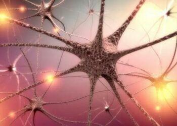 COVID-19 Vagus Nerve Inflammation May Lead To Dysautonomia: New Study