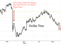 Dollar Tree Tumble: Mounting ‘Shrink’ Erodes Margins, Forecasts Fall Short Of Estimates