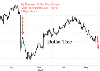 Dollar Tree Tumble: Mounting ‘Shrink’ Erodes Margins, Forecasts Fall Short Of Estimates