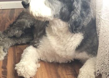 Effective Skin Solutions & Arthritis Relief