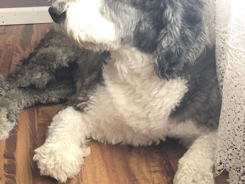 Effective Skin Solutions & Arthritis Relief