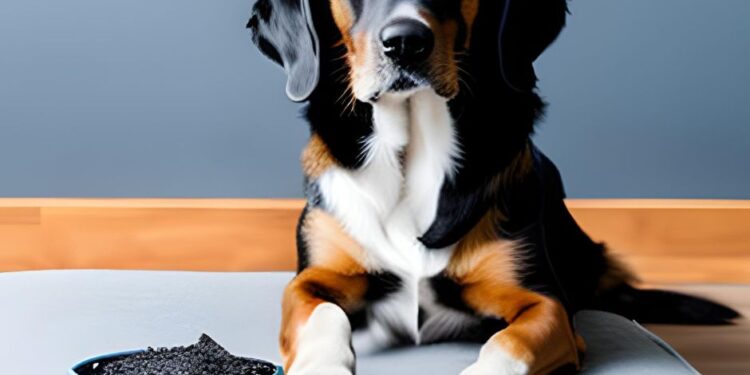 Emergency Uses, Dosage & Benefits