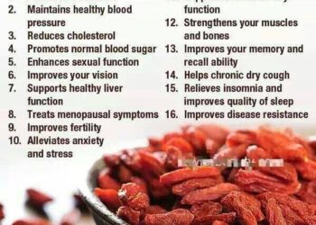 Heaven Mountain Goji Berries8 oz. Pouch https://bit.ly/HeavenGojiBerries“These are the best goji berries in the world—an…