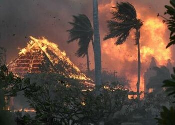 Horror: Those Who Disobeyed Barricades Survived Maui Fires