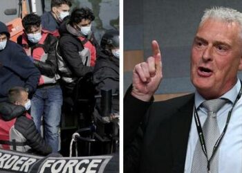 Illegal Migrants Should “F**k Off Back To France”, Says Deputy Chair Of UK Governing Party