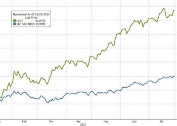 Magnificent Seven | ZeroHedge