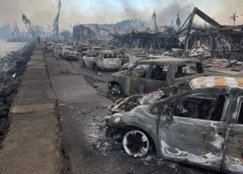 Maui, Yellowknife, Teneriffe, Rhodes: Who is Behind the Spate of Wildfires Caused by Arson? | The Gateway Pundit