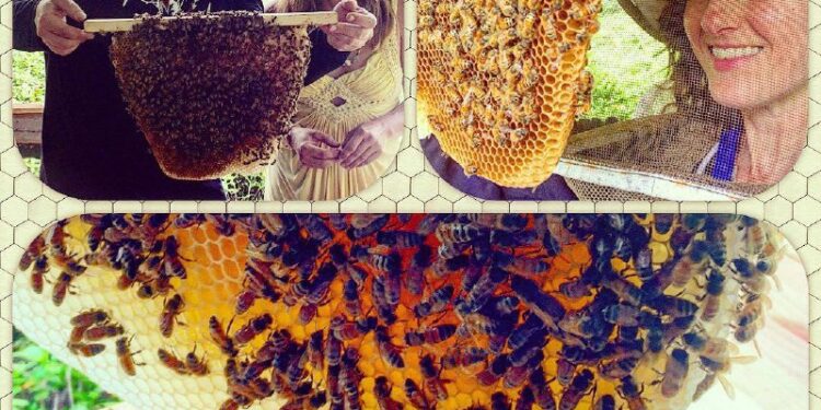 NoniLand Honey. Since 2006. OG. Pure as Pure gets.https://shop.davidwolfe.com/products/noniland-honey