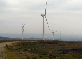 Scottish Govt Axes 16 Million Trees To Clear Way For ‘Greener’ Solutions