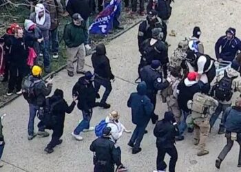 Security Video Challenges The Narrative On First Man To Die At Capitol On Jan. 6