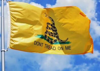 Student Kicked Out Of Classroom For Wearing Gadsden Flag Patch Because It’s “Racist”